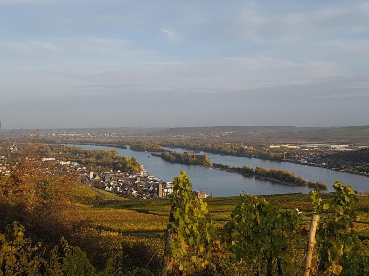 Rheingau Und Weltkulturerbe Mittelrheintal Erleben - Ferienappartement In Winkel Oestrich-Winkel Buitenkant foto